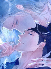 Capa (2)