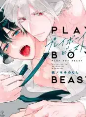 plauybou